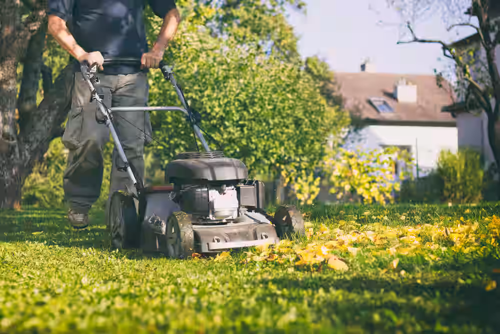 Garden Maintenance